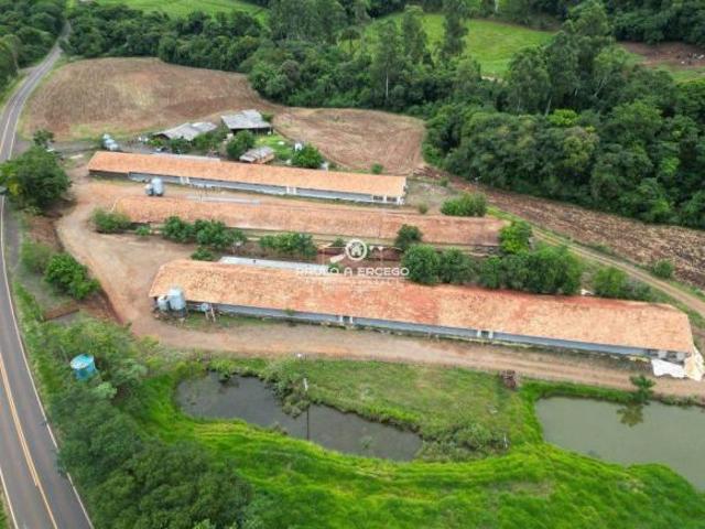 Sítio e chácara venda em Região Geográfica Imediata de Cascavel, Três Barras do Paraná