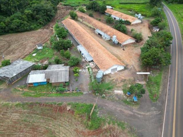 Sítio e chácara venda em Região Geográfica Imediata de Cascavel, Três Barras do Paraná