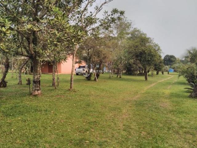 Sítio e chácara venda em Região Geográfica Imediata de Torres, Aglomeração Urbana do Litoral Norte