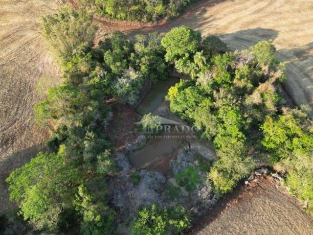 Sítio e chácara venda em Região Geográfica Imediata de Cornélio Procópio-Bandeirantes, Uraí