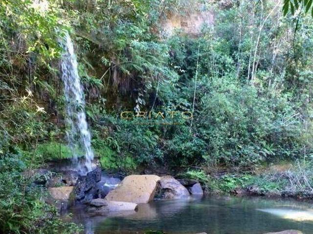 Sítio e chácara venda em Região Geográfica Imediata de Anápolis, Região Integrada de Desenvolvimento do Distrito Federal e Entorno