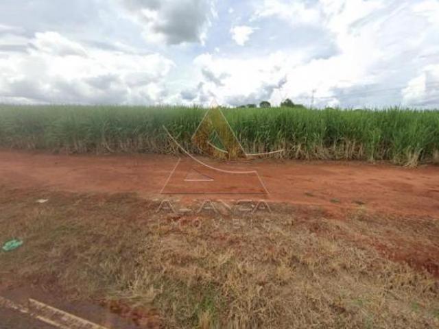 Sítio e chácara venda em Região Imediata de Ribeirão Preto, Região Metropolitana de Ribeirão Preto
