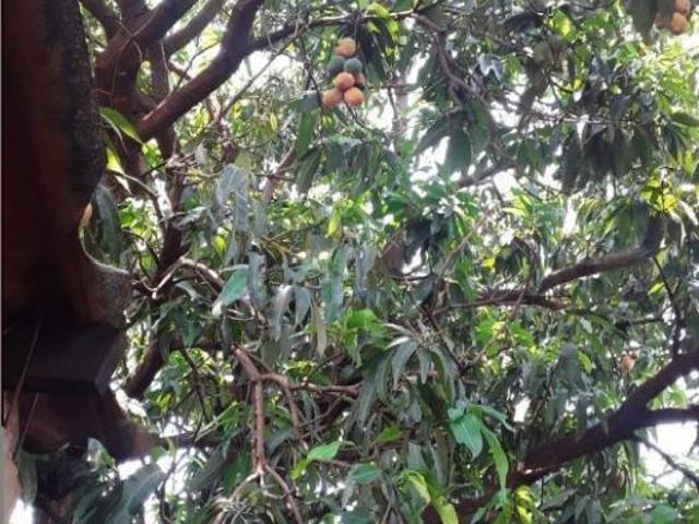 Sítio e chácara venda em Região Geográfica Imediata de Campo Grande, Terenos