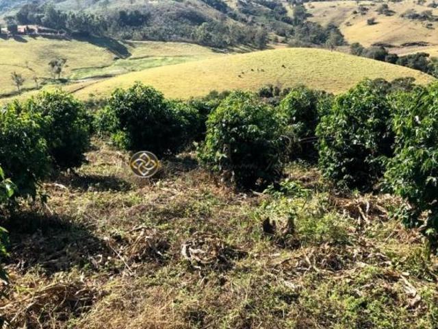 Sítio e chácara venda em Região Geográfica Imediata de Pouso Alegre, Bueno Brandão
