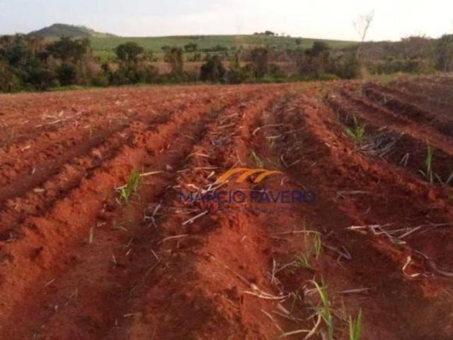 Sítio e chácara venda em Região Imediata de São João da Boa Vista, Região Metropolitana de Ribeirão Preto