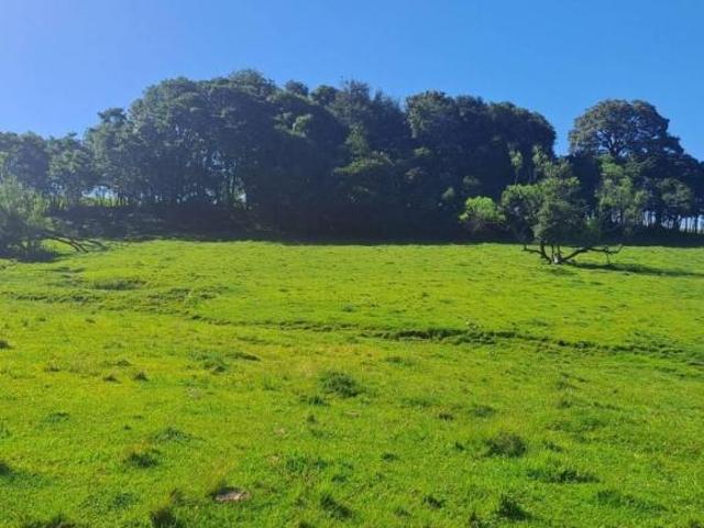 Sítio e chácara venda em Região Geográfica Imediata de Santa Cruz do Sul, Passo do Sobrado