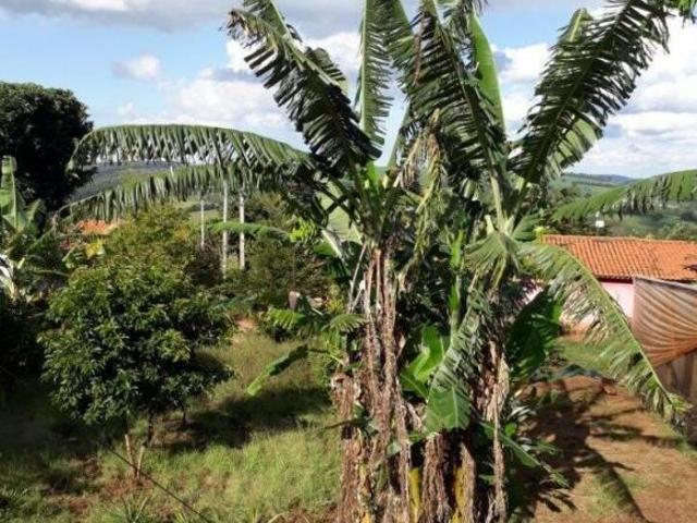 Sítio e chácara venda em Região Imediata de Piraju, Sarutaia