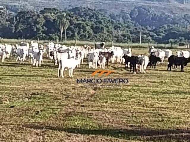 Sítio e chácara venda em Região Imediata de Botucatu, Anhembi