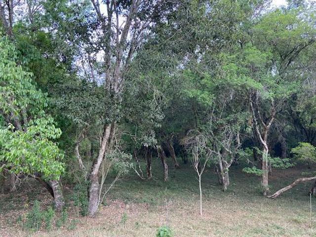Sítio e chácara venda em Região Imediata de Bragança Paulista, Pedra Bela
