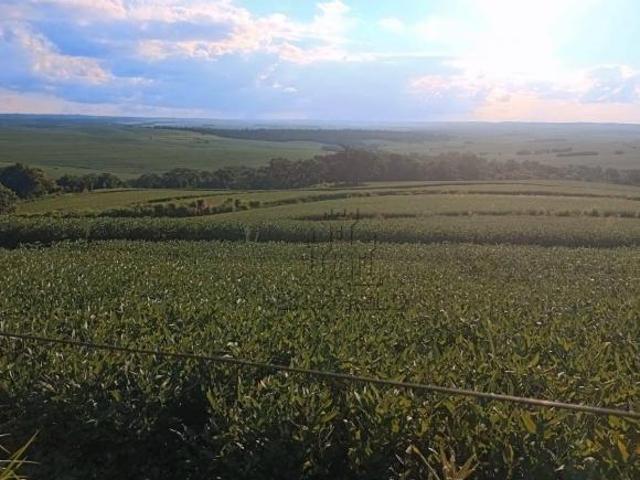Sítio e chácara venda em Região Geográfica Imediata de Londrina, Bela Vista do Paraíso