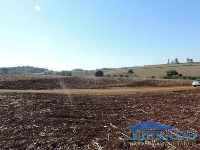Sítio e chácara venda em Região Geográfica Imediata de Londrina, Ibiporã