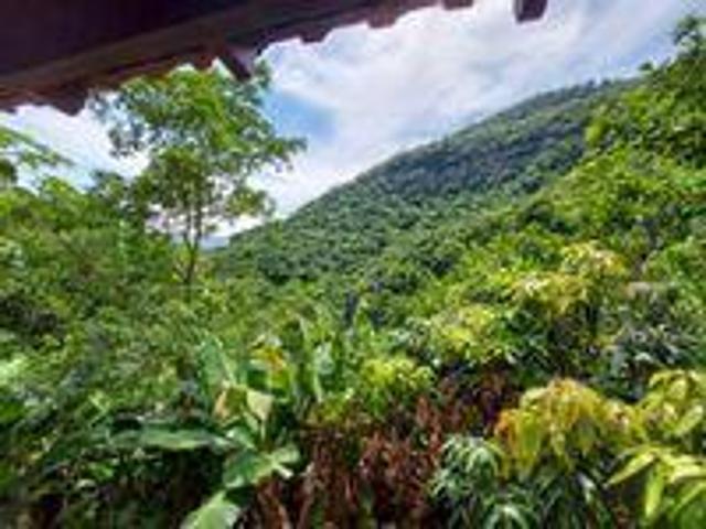 Sítio e chácara venda em Região Geográfica Imediata de Bento Gonçalves, Bento Gonçalves