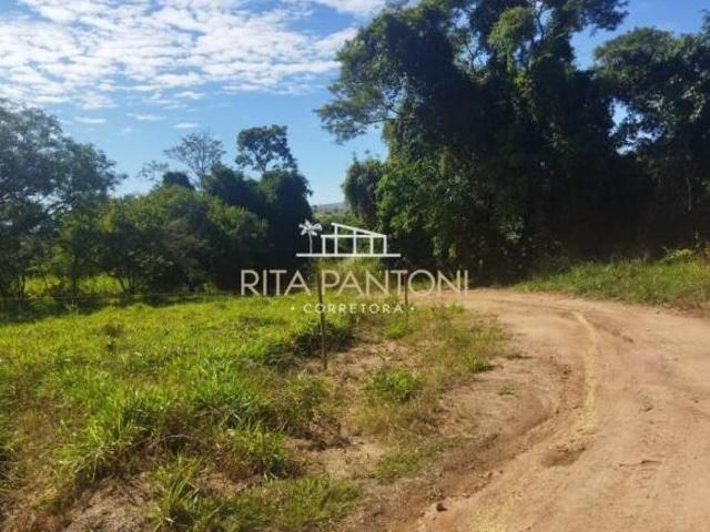 Sítio e chácara venda em Região Imediata de São José do Rio Pardo-Mococa, Região Metropolitana de Ribeirão Preto