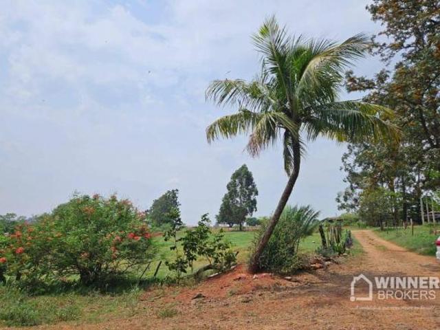 Sítio e chácara venda em Região Geográfica Imediata de Maringá, Santa Fé