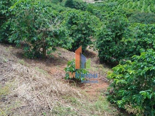 Sítio e chácara venda em Região Geográfica Imediata de Pouso Alegre, Ouro Fino