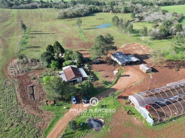 Sítio e chácara venda em Região Geográfica Imediata de Francisco Beltrão, Renascença