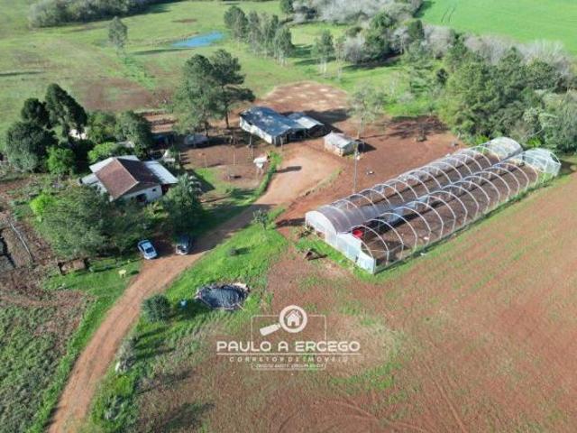Sítio e chácara venda em Região Geográfica Imediata de Francisco Beltrão, Renascença