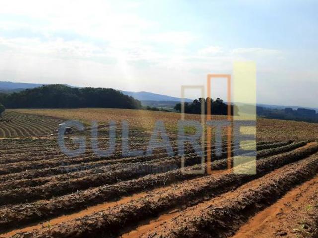 Sítio e chácara venda em Região Geográfica Imediata de Porto Alegre, Mariana Pimentel