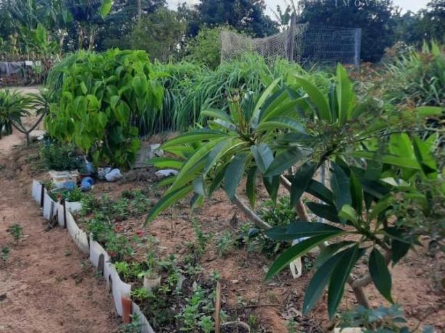 Sítio e chácara venda em Região Imediata de Campinas, Região Metropolitana de Campinas