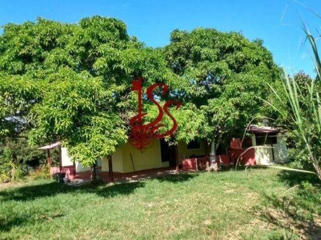 Sítio e chácara venda em Região Imediata de Campinas, Região Metropolitana de Campinas