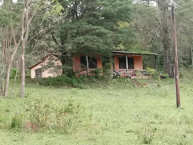 Sítio e chácara venda em Região Geográfica Imediata de Porto Alegre, Mariana Pimentel
