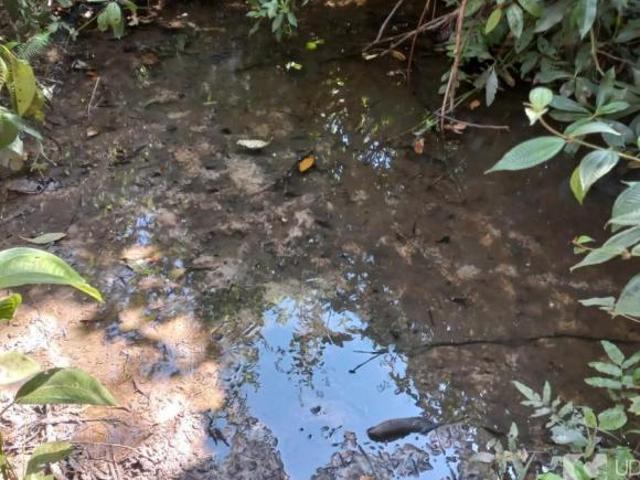 Sítio e chácara venda em Região Geográfica Imediata de Uberlândia, Oliveira Fortes