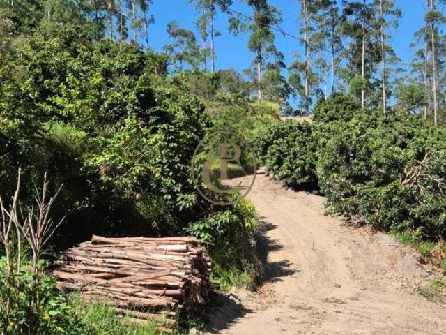 Sítio e chácara venda em Região Imediata de São Paulo, Região Metropolitana de São Paulo