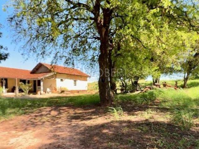 Sítio e chácara venda em Região Geográfica Imediata de Paranavaí, Paranavaí