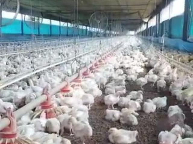 Sítio e chácara venda em Região Imediata de São Paulo, Região Metropolitana de São Paulo