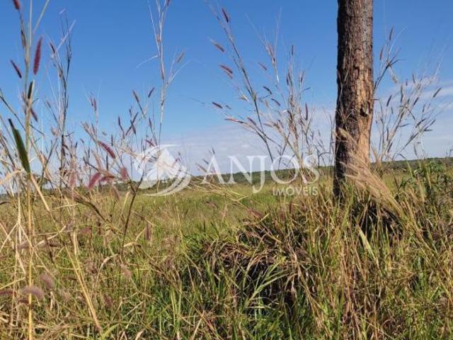 Sítio e chácara venda em Região Geográfica Imediata de Sinop, Sinop