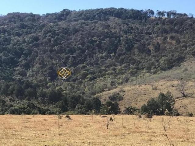 Sítio e chácara venda em Região Geográfica Imediata de Pouso Alegre, Bueno Brandão