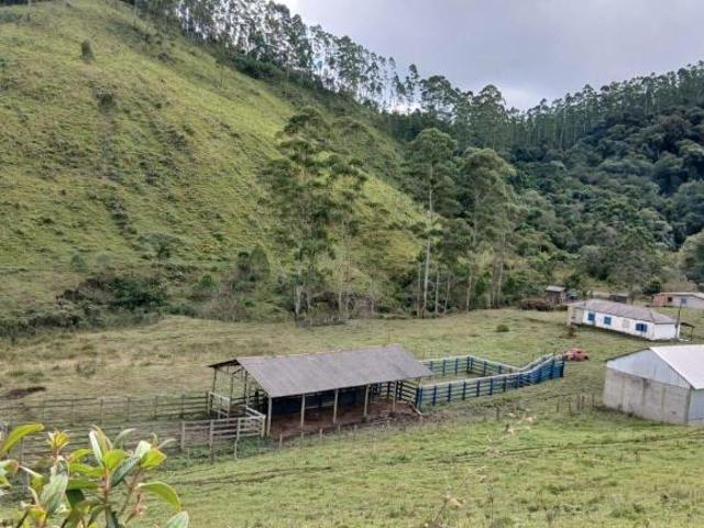 Sítio e chácara venda em Região Imediata de Guaratinguetá, Região Metropolitana do Vale do Paraíba e Litoral Norte