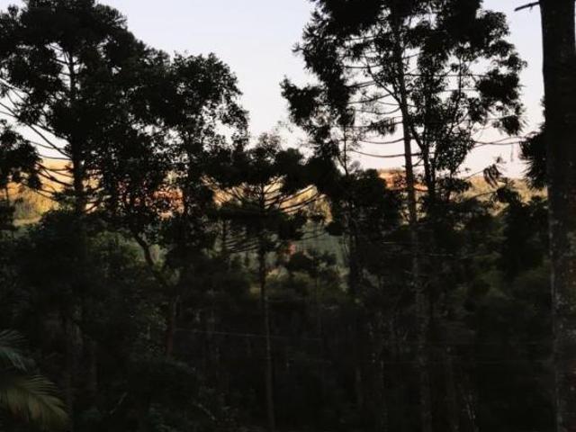 Sítio e chácara venda em Região Geográfica Imediata de Santa Cruz do Sul, Santa Cruz do Sul