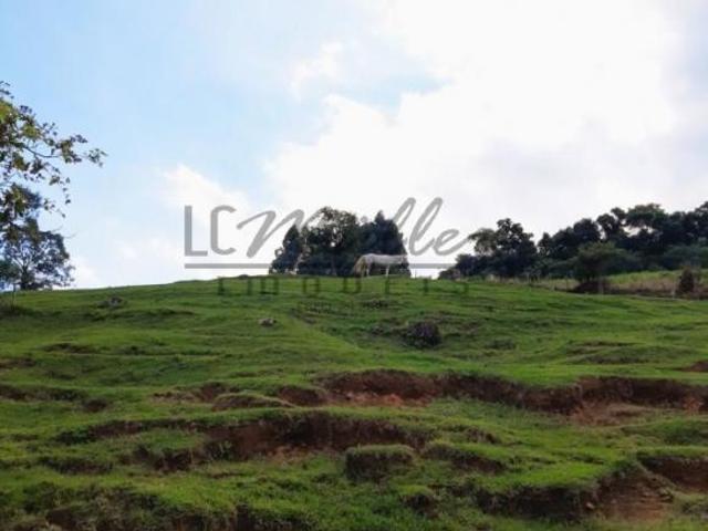 Sítio e chácara venda em Região Geográfica Imediata de Santa Cruz do Sul, Santa Cruz do Sul