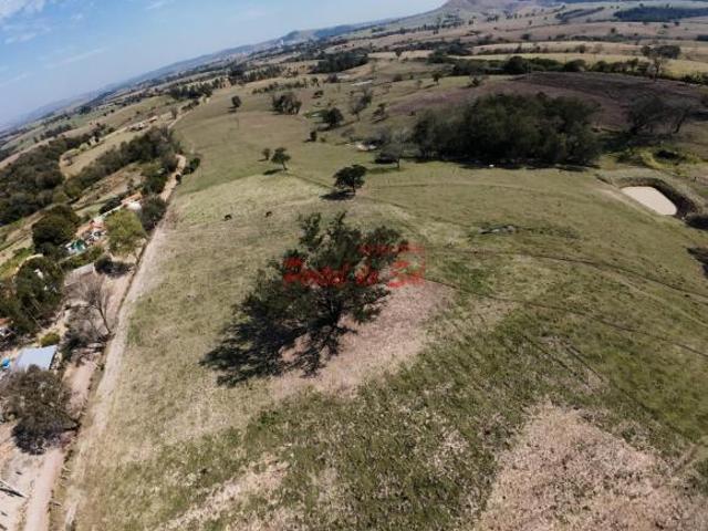 Sítio e chácara venda em Região Geográfica Imediata de Santo Antônio da Platina, Santo Antônio da Platina