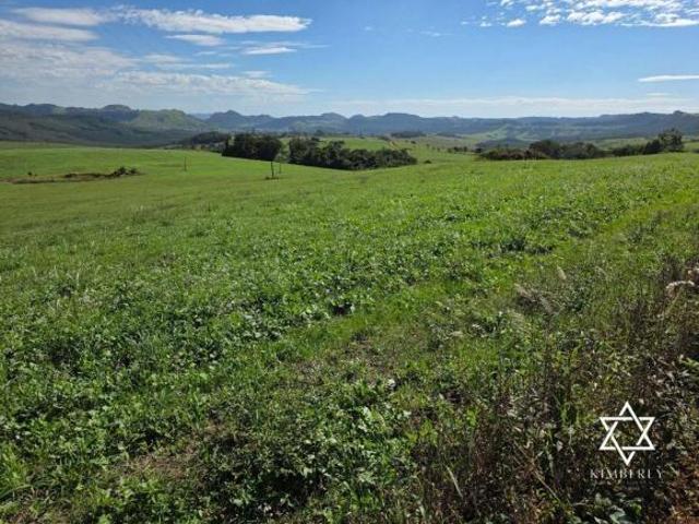 Sítio e chácara venda em Região Geográfica Imediata de Telêmaco Borba, Ortigueira