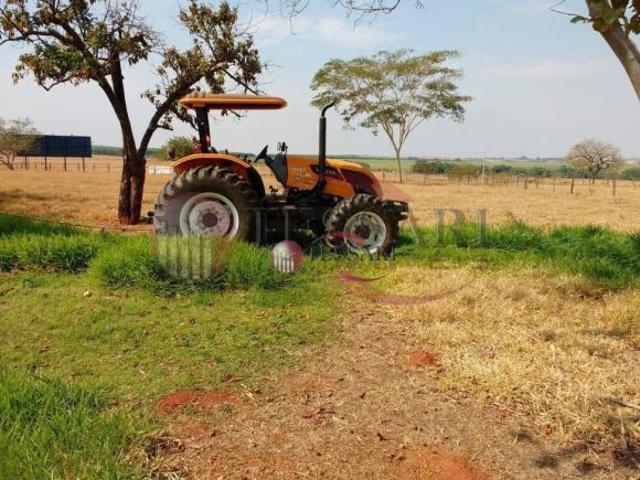 Sítio e chácara venda em Região Imediata de São José do Rio Preto, Região Metropolitana de São José do Rio Preto