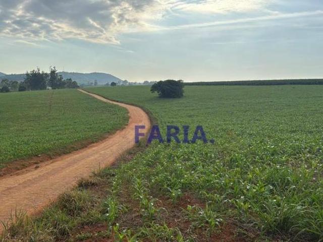 Sítio e chácara venda em Região Geográfica Imediata de Três Pontas - Boa Esperança, Coqueiral