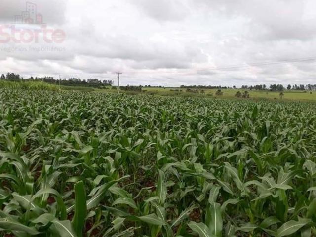 Sítio e chácara venda em Região Geográfica Imediata de Uberlândia, Oliveira Fortes