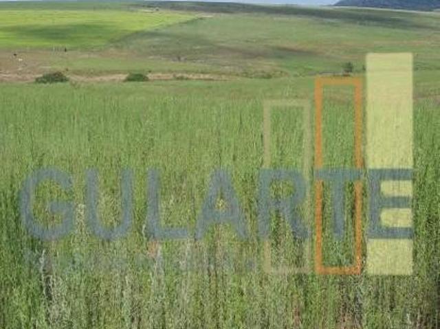Sítio e chácara venda em Região Geográfica Imediata de Santa Maria, São Pedro do Sul