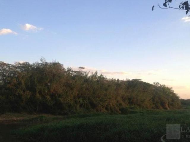 Sítio e chácara venda em Região Imediata de Ribeirão Preto, Região Metropolitana de Ribeirão Preto