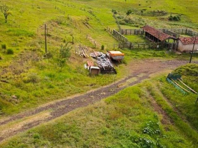 Sítio e chácara venda em Região Geográfica Imediata de Londrina, Assaí
