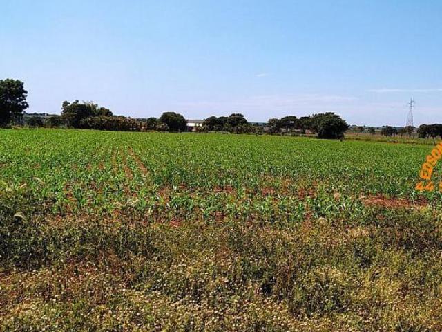 Sítio e chácara venda em Região Geográfica Imediata de Toledo, Terra Roxa