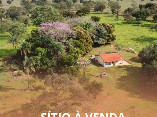 Sítio e chácara venda em Região Geográfica Imediata de Três Lagoas, Angélica