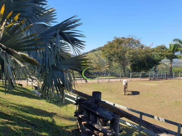 Sítio e chácara venda em Região Imediata de Taubaté-Pindamonhangaba, Região Metropolitana do Vale do Paraíba e Litoral Norte