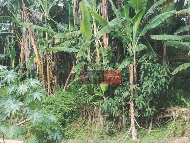 Sítio e chácara venda em Região Imediata de São José dos Campos, Região Metropolitana do Vale do Paraíba e Litoral Norte