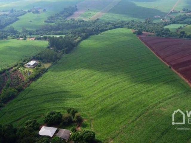 Sítio e chácara venda em Região Geográfica Imediata de Maringá, Maringá