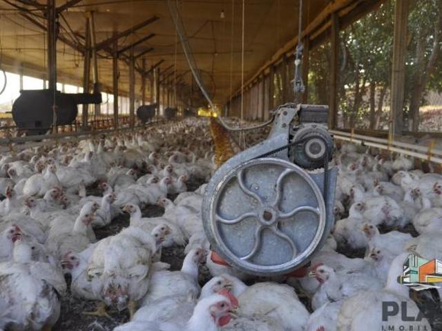 Sítio e chácara venda em Região Imediata de Tatuí, Região Metropolitana de Sorocaba