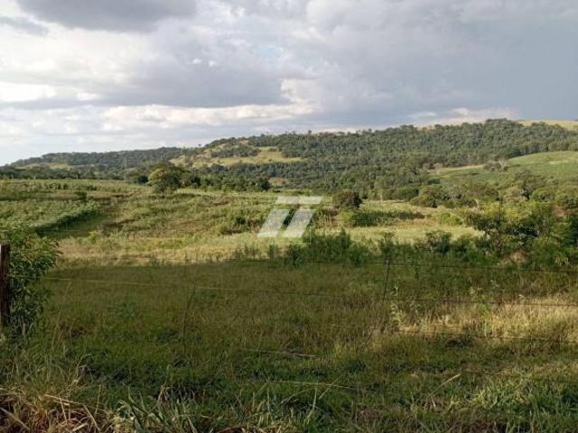 Sítio e chácara venda em Região Geográfica Imediata de Toledo, Santa Helena