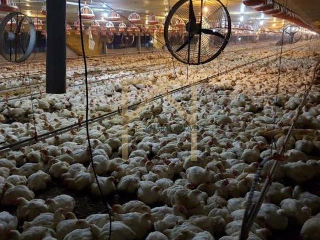 Sítio e chácara venda em Região Imediata de Itapetininga, Região Metropolitana de Sorocaba